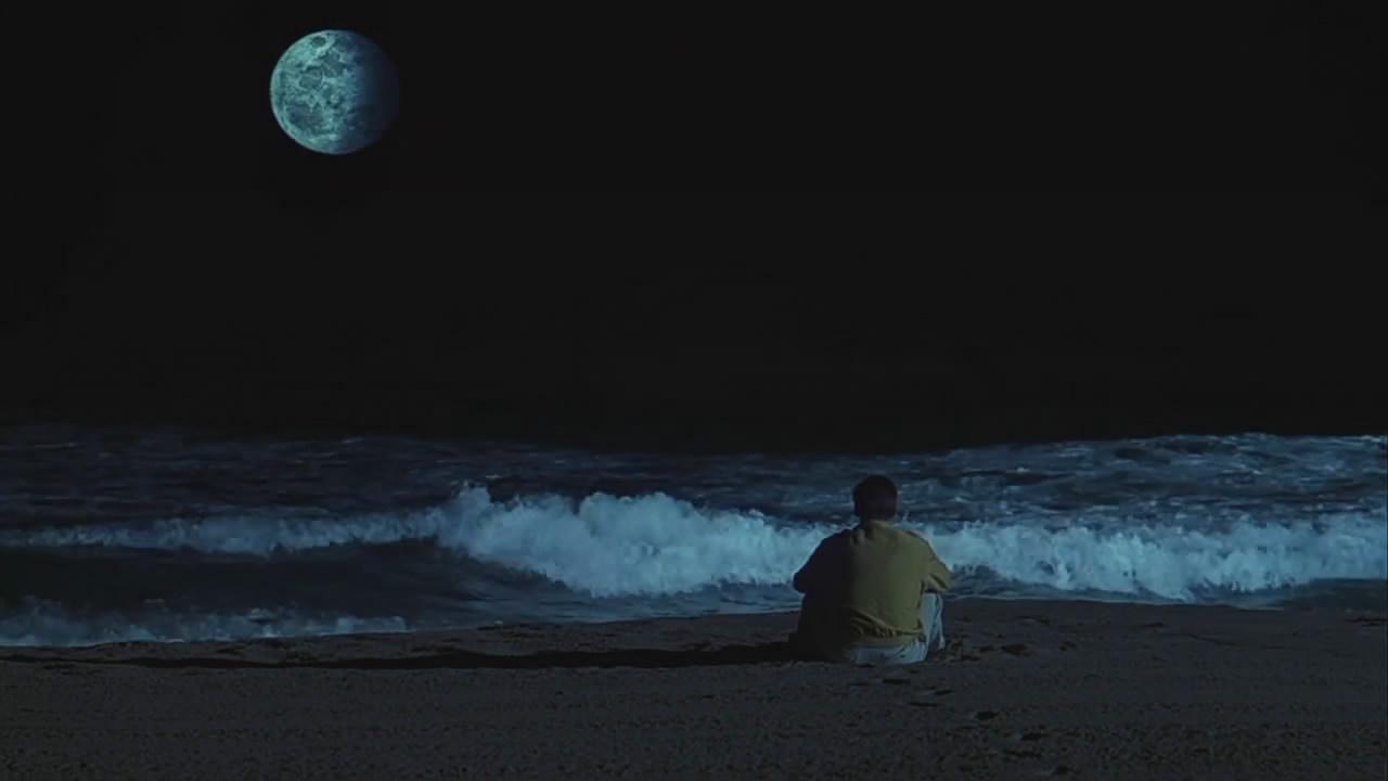 旅行之蛙官网首页入口一键直达：告别访问烦恼，轻松开启虚拟旅程