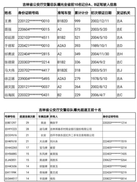 旅行必备品有哪些种类？2024最新分类清单助你轻松打包，告别行李烦恼